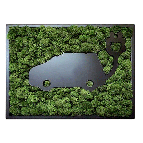 Icelandic Moss Frame